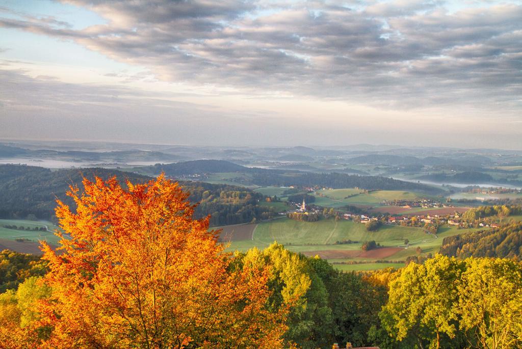 Ferienwohnungen-Bendler Freyung Chambre photo